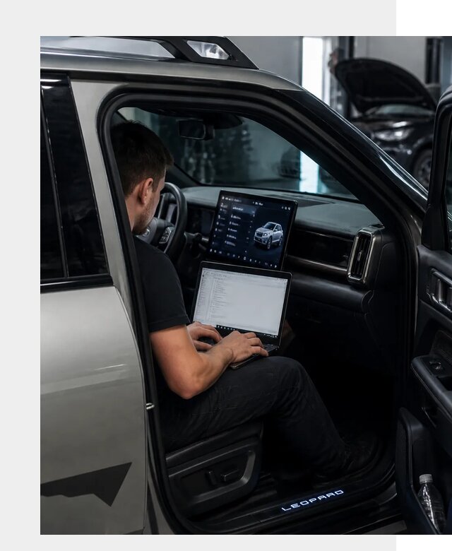 Русификация BYD Leopard 3 в Воркуте по цене от 20459 р. | ФастМобиль-Врк